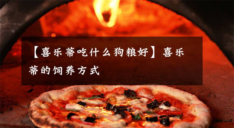 【喜乐蒂吃什么狗粮好】喜乐蒂的饲养方式