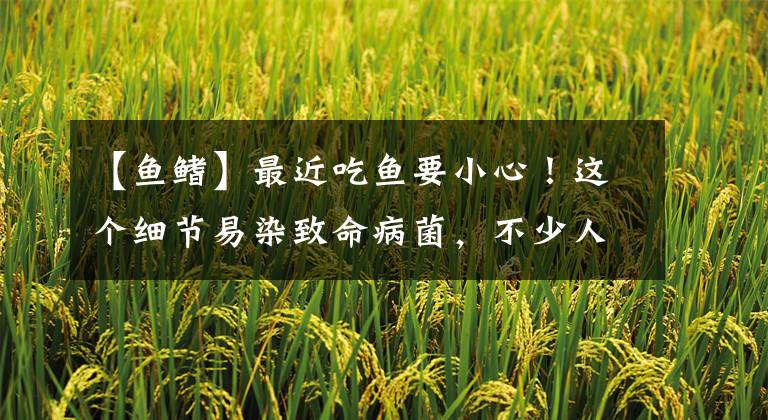 【鱼鳍】最近吃鱼要小心！这个细节易染致命病菌，不少人都忽略……