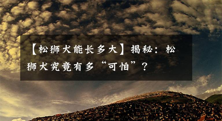 【松狮犬能长多大】揭秘：松狮犬究竟有多“可怕”？