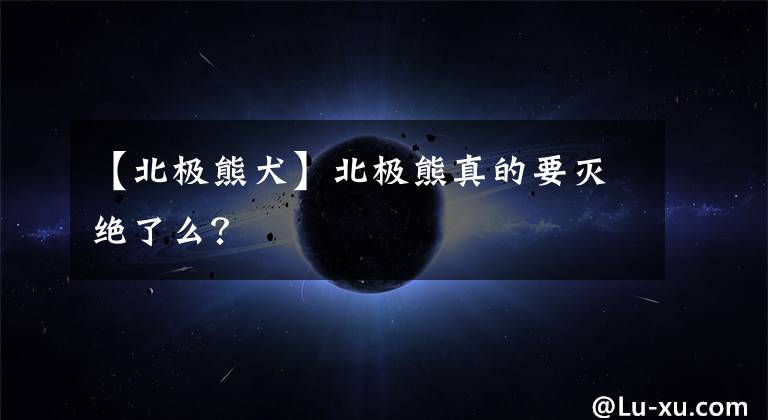 【北极熊犬】北极熊真的要灭绝了么？