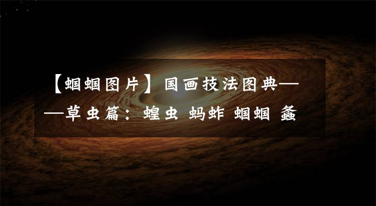 【蝈蝈图片】国画技法图典——草虫篇：蝗虫 蚂蚱 蝈蝈 螽斯 螳螂 蟋蟀