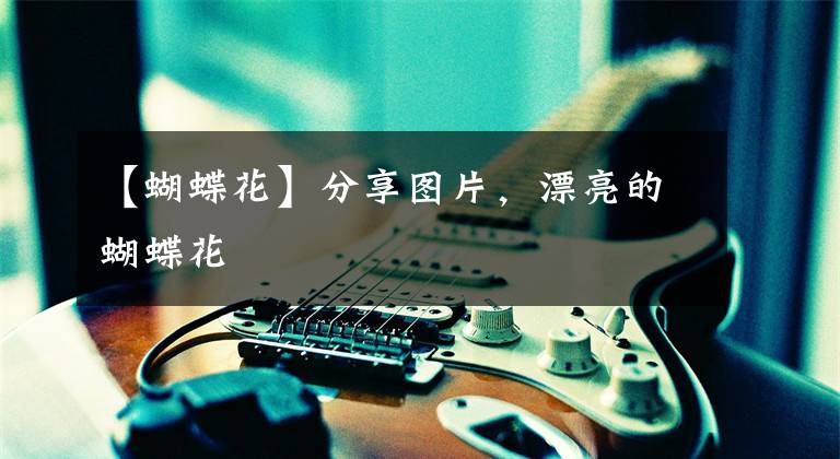 【蝴蝶花】分享图片,漂亮的蝴蝶花