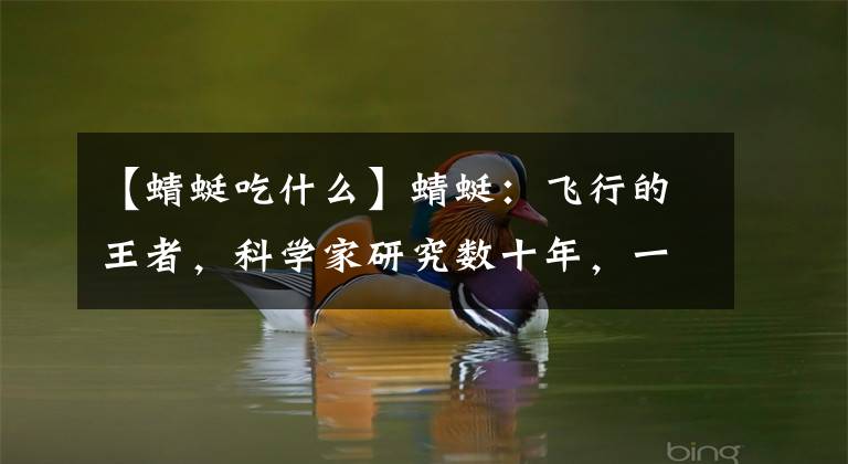 【蜻蜓吃什么】蜻蜓：飞行的王者，科学家研究数十年，一直吃不透关键技术！