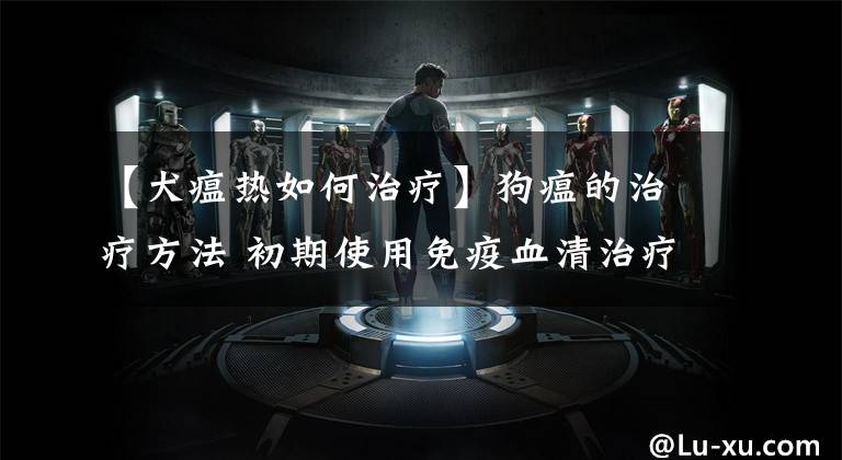 【犬瘟热如何治疗】狗瘟的治疗方法 初期使用免疫血清治疗