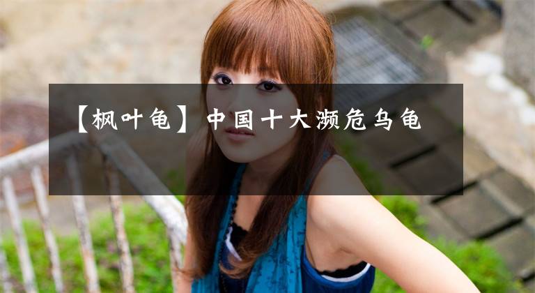 【枫叶龟】中国十大濒危乌龟