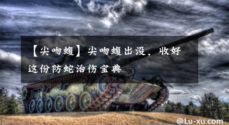 【尖吻蝮】尖吻蝮出没,收好这份防蛇治伤宝典