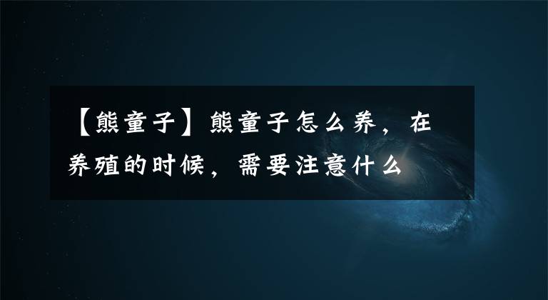 【熊童子】熊童子怎么养，在养殖的时候，需要注意什么