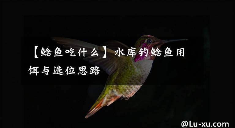 【鲶鱼吃什么】水库钓鲶鱼用饵与选位思路