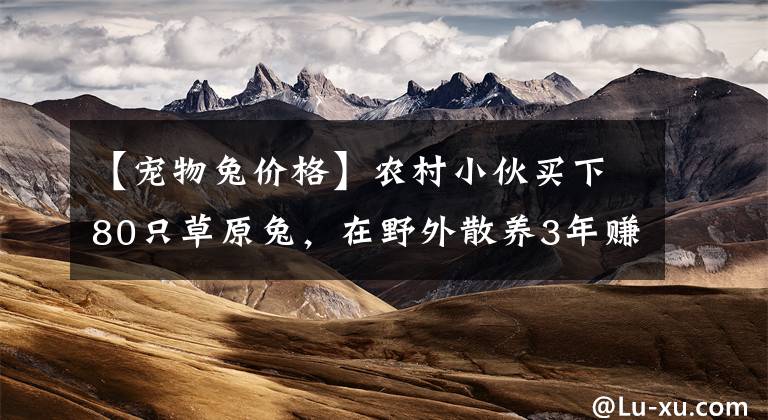 【宠物兔价格】农村小伙买下80只草原兔，在野外散养3年赚35万元，看有啥秘诀