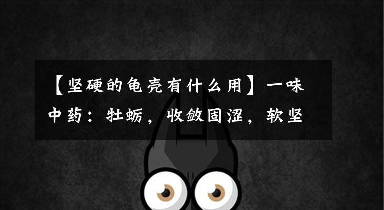 【坚硬的龟壳有什么用】一味中药：牡蛎，收敛固涩，软坚散结，化掉体内坚硬的结节
