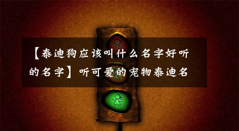 【泰迪狗应该叫什么名字好听的名字】听可爱的宠物泰迪名字大全-可爱的一点