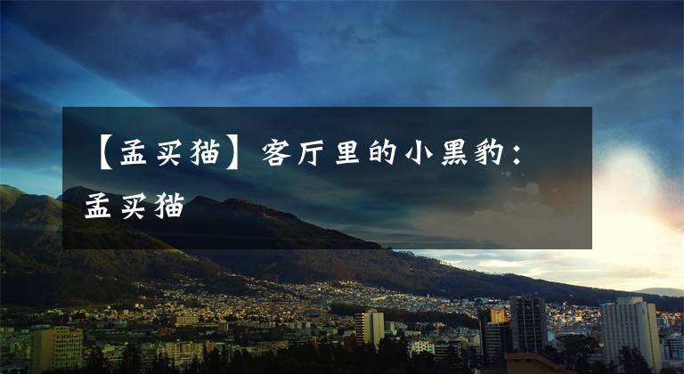 【孟买猫】客厅里的小黑豹：孟买猫