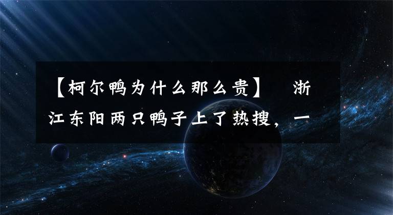 【柯尔鸭为什么那么贵】​浙江东阳两只鸭子上了热搜，一只售价上万元的柯尔鸭，原来是这样孵化的