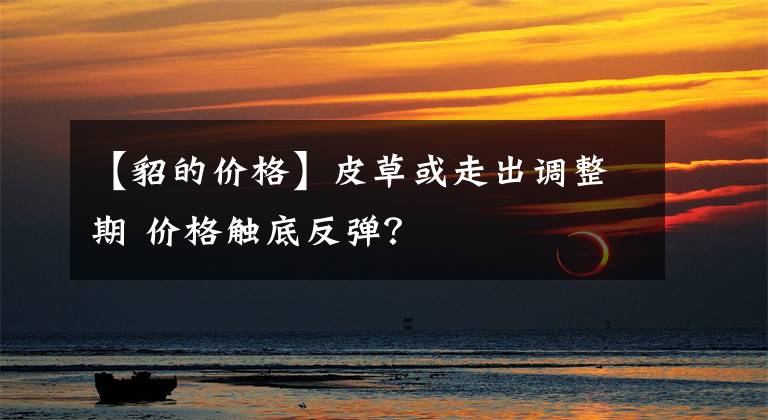 【貂的价格】皮草或走出调整期 价格触底反弹？