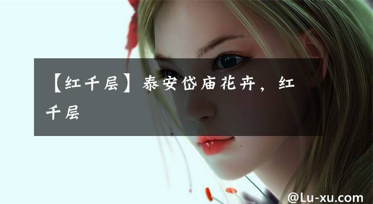 【红千层】泰安岱庙花卉，红千层