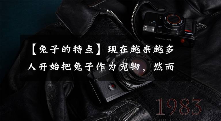 【兔子的特点】现在越来越多人开始把兔子作为宠物，然而，兔子的历史了解吗