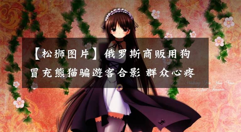 【松狮图片】俄罗斯商贩用狗冒充熊猫骗游客合影 群众心疼濒危动物高温工作怒而报警