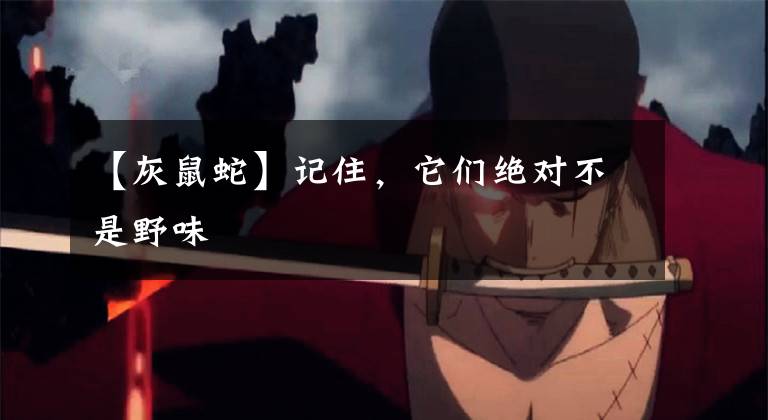 【灰鼠蛇】记住，它们绝对不是野味