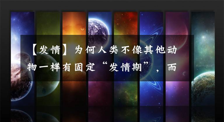 【发情】为何人类不像其他动物一样有固定“发情期”，而是随时都可以？