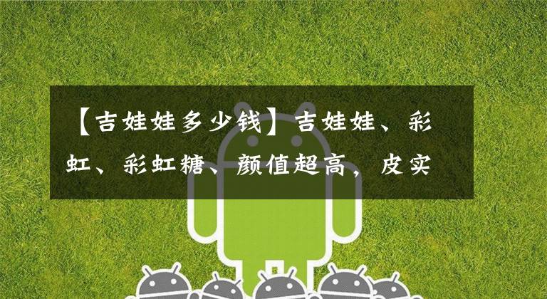 【吉娃娃多少钱】吉娃娃、彩虹、彩虹糖、颜值超高,皮实好养,冬日美肉精选