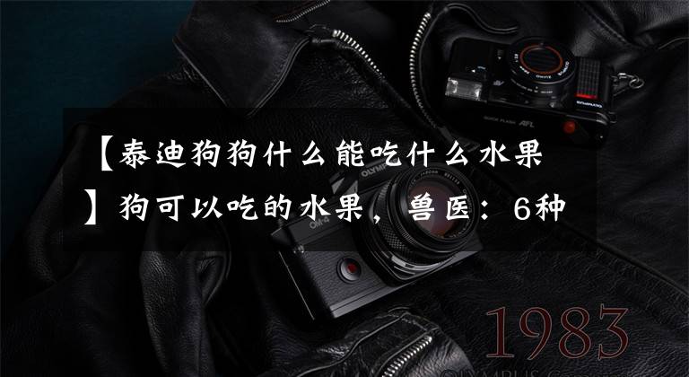 【泰迪狗狗什么能吃什么水果】狗可以吃的水果,兽医:6种对狗友好的常见水果。