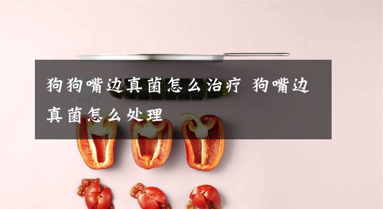 狗狗嘴边真菌怎么治疗 狗嘴边真菌怎么处理