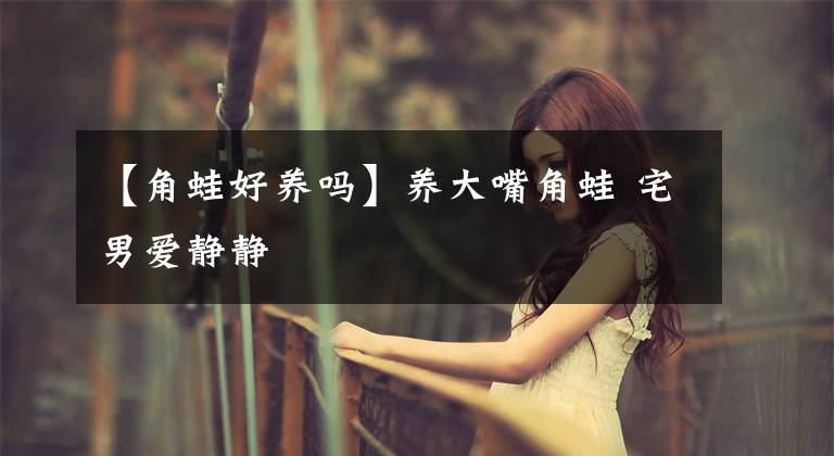 【角蛙好养吗】养大嘴角蛙 宅男爱静静