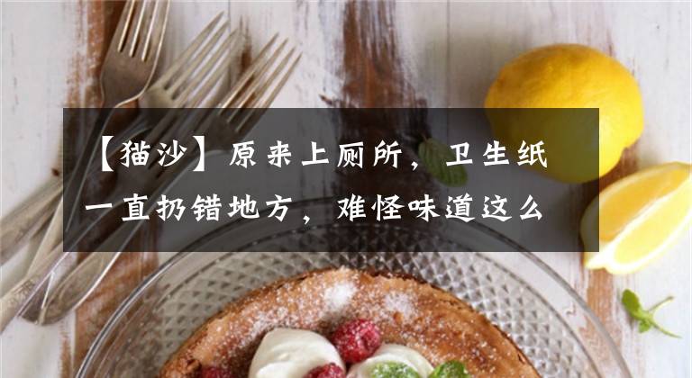 【猫沙】原来上厕所，卫生纸一直扔错地方，难怪味道这么大