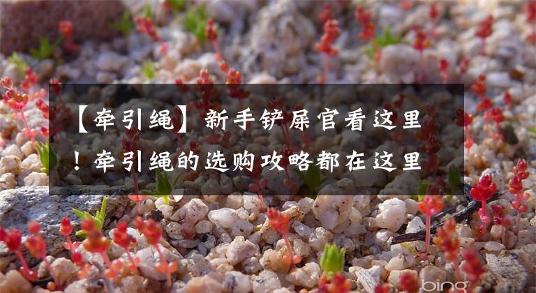 【牵引绳】新手铲屎官看这里！牵引绳的选购攻略都在这里啦