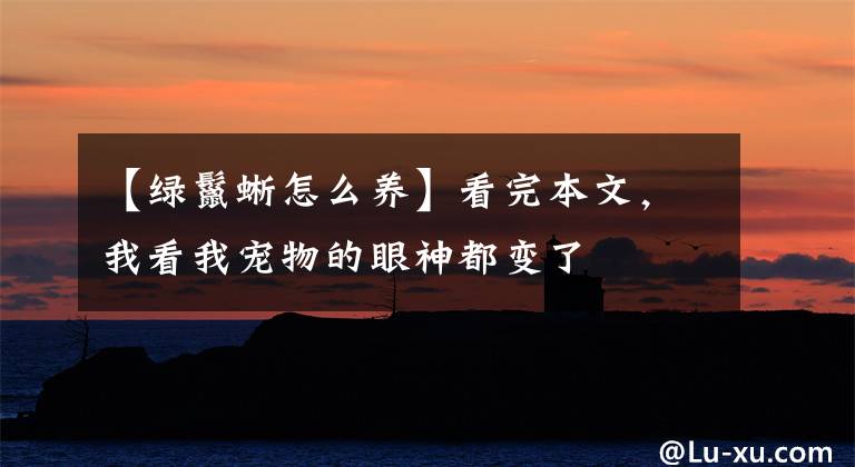 【绿鬣蜥怎么养】看完本文，我看我宠物的眼神都变了