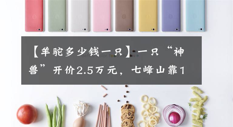 【羊驼多少钱一只】一只“神兽”开价2.5万元，七峰山靠1400只羊驼申报新三板，毛利率高达60%