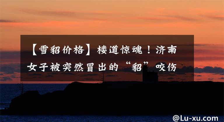 【雪貂价格】楼道惊魂！济南女子被突然冒出的“貂”咬伤，这东西哪来的？