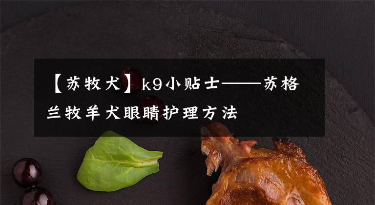 【苏牧犬】k9小贴士——苏格兰牧羊犬眼睛护理方法