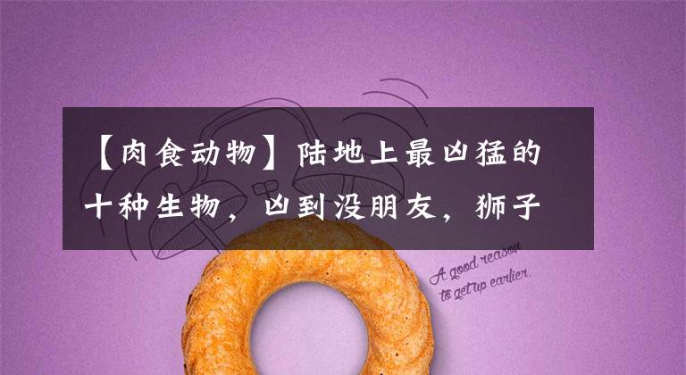 【肉食动物】陆地上最凶猛的十种生物，凶到没朋友，狮子老虎无缘第一？