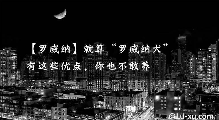 【罗威纳】就算“罗威纳犬”有这些优点，你也不敢养