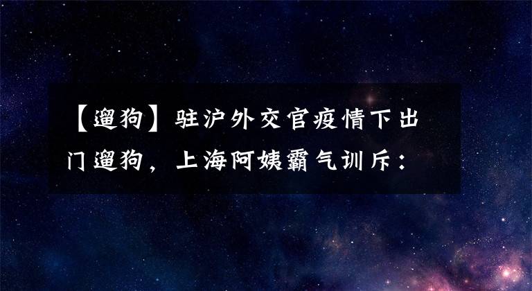 【遛狗】驻沪外交官疫情下出门遛狗，上海阿姨霸气训斥：你们和狗都没特权