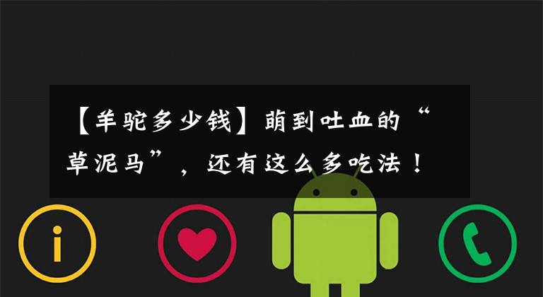 【羊驼多少钱】萌到吐血的“草泥马”,还有这么多吃法!你下得了嘴吗?