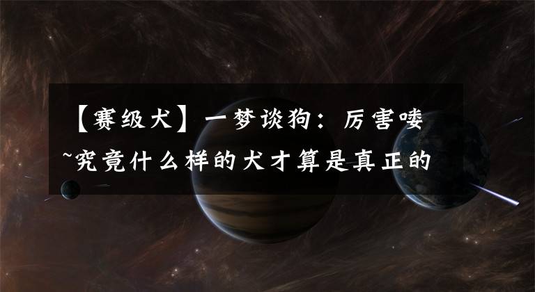 【赛级犬】一梦谈狗:厉害喽~究竟什么样的犬才算是真正的赛级犬?