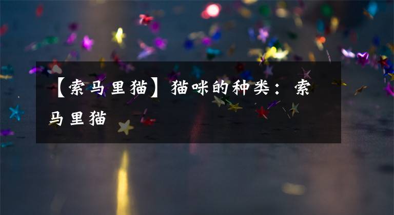 【索马里猫】猫咪的种类:索马里猫