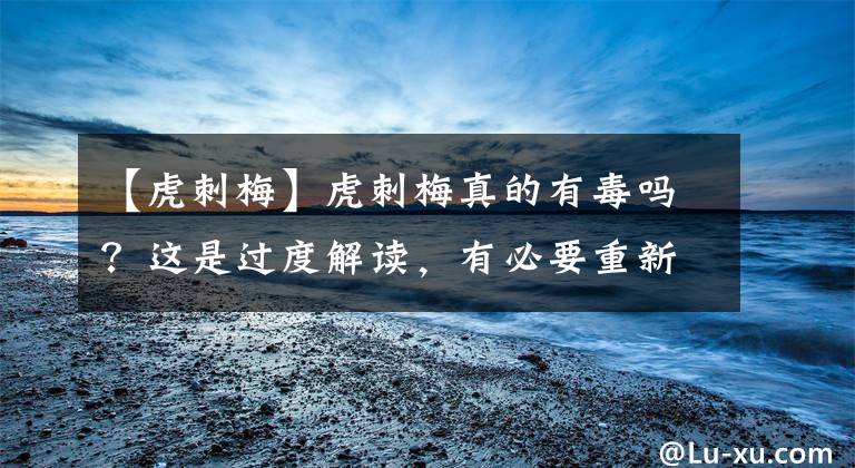 【虎刺梅】虎刺梅真的有毒吗？这是过度解读，有必要重新认识一番