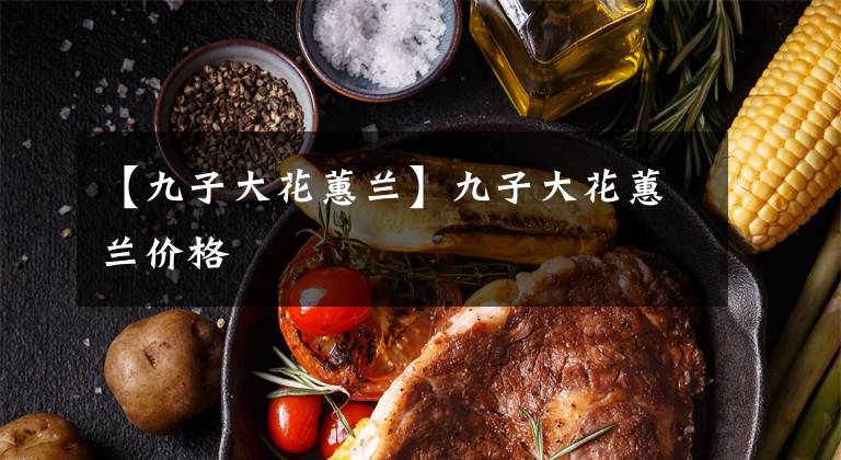 【九子大花蕙兰】九子大花蕙兰价格