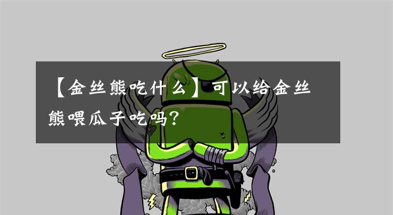 【金丝熊吃什么】可以给金丝熊喂瓜子吃吗？