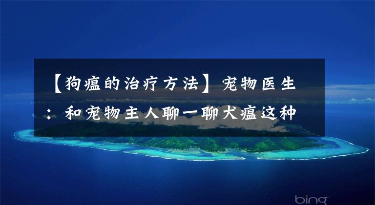 【狗瘟的治疗方法】宠物医生：和宠物主人聊一聊犬瘟这种传染病，分享一些治疗药物