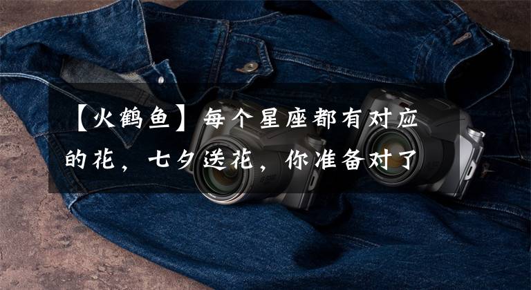 【火鹤鱼】每个星座都有对应的花,七夕送花,你准备对了吗?