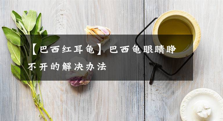 【巴西红耳龟】巴西龟眼睛睁不开的解决办法