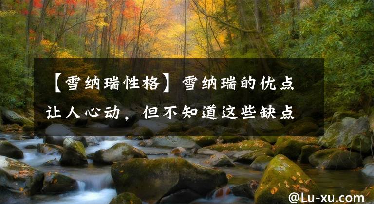 【雪纳瑞性格】雪纳瑞的优点让人心动,但不知道这些缺点就养,可能会后悔