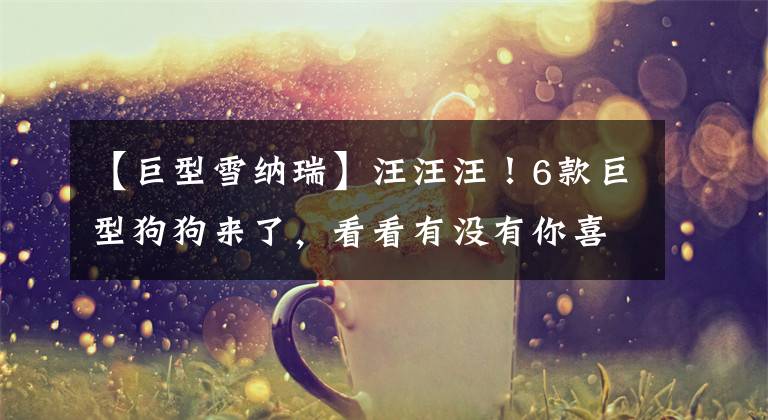 【巨型雪纳瑞】汪汪汪!6款巨型狗狗来了,看看有没有你喜欢的