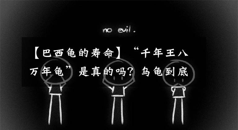 【巴西龟的寿命】“千年王八万年龟”是真的吗？乌龟到底能活多久？常见乌龟寿命