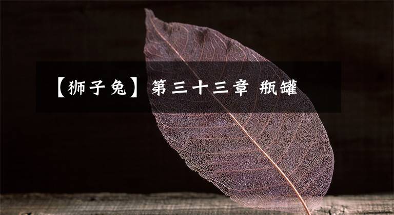 【狮子兔】第三十三章 瓶罐