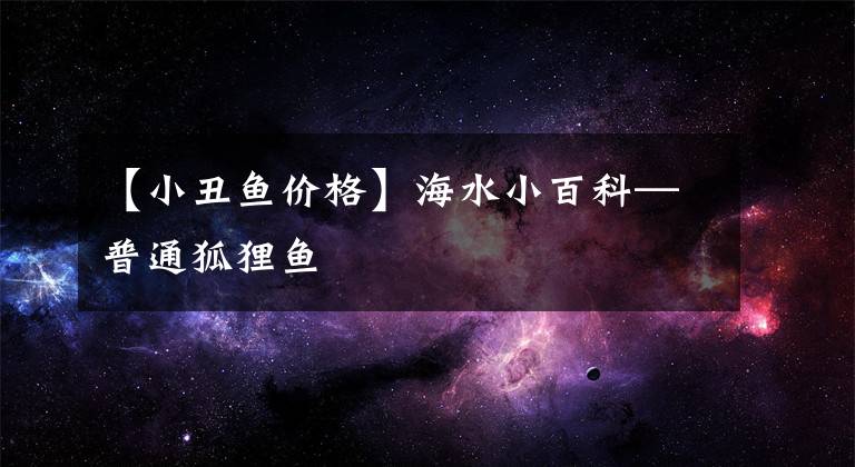 【小丑鱼价格】海水小百科—普通狐狸鱼